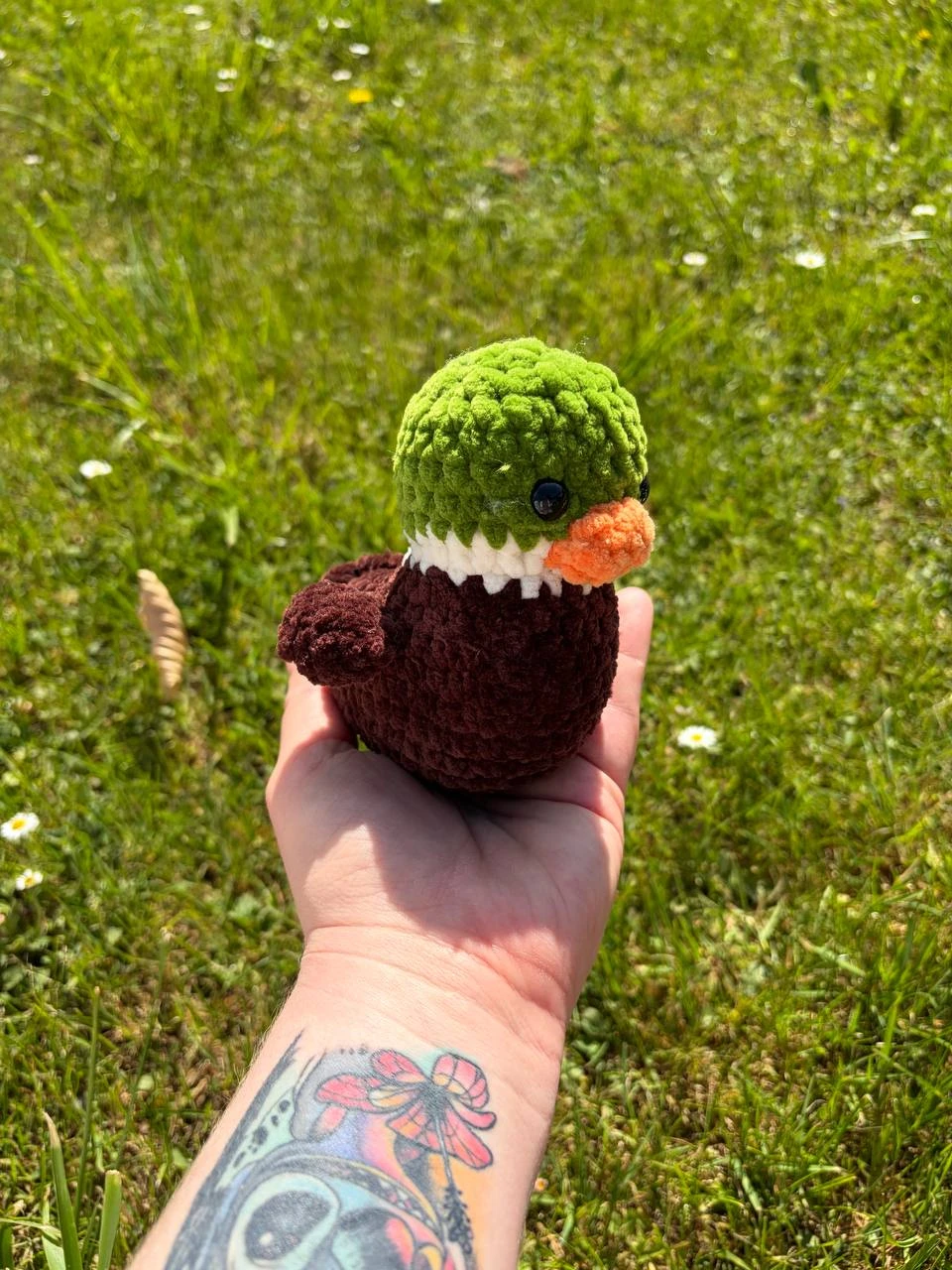 Ente – Bild 2