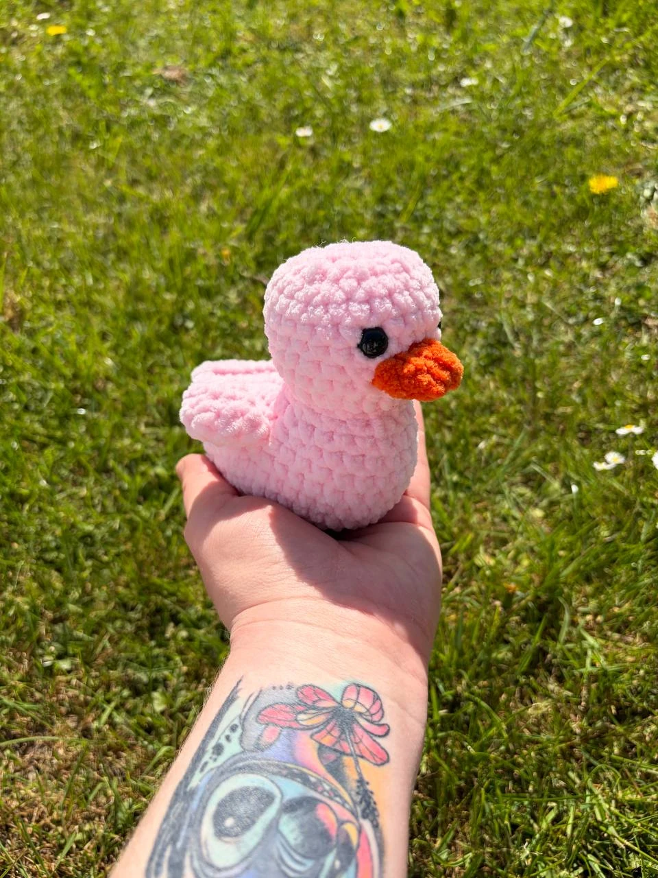 Ente – Bild 3