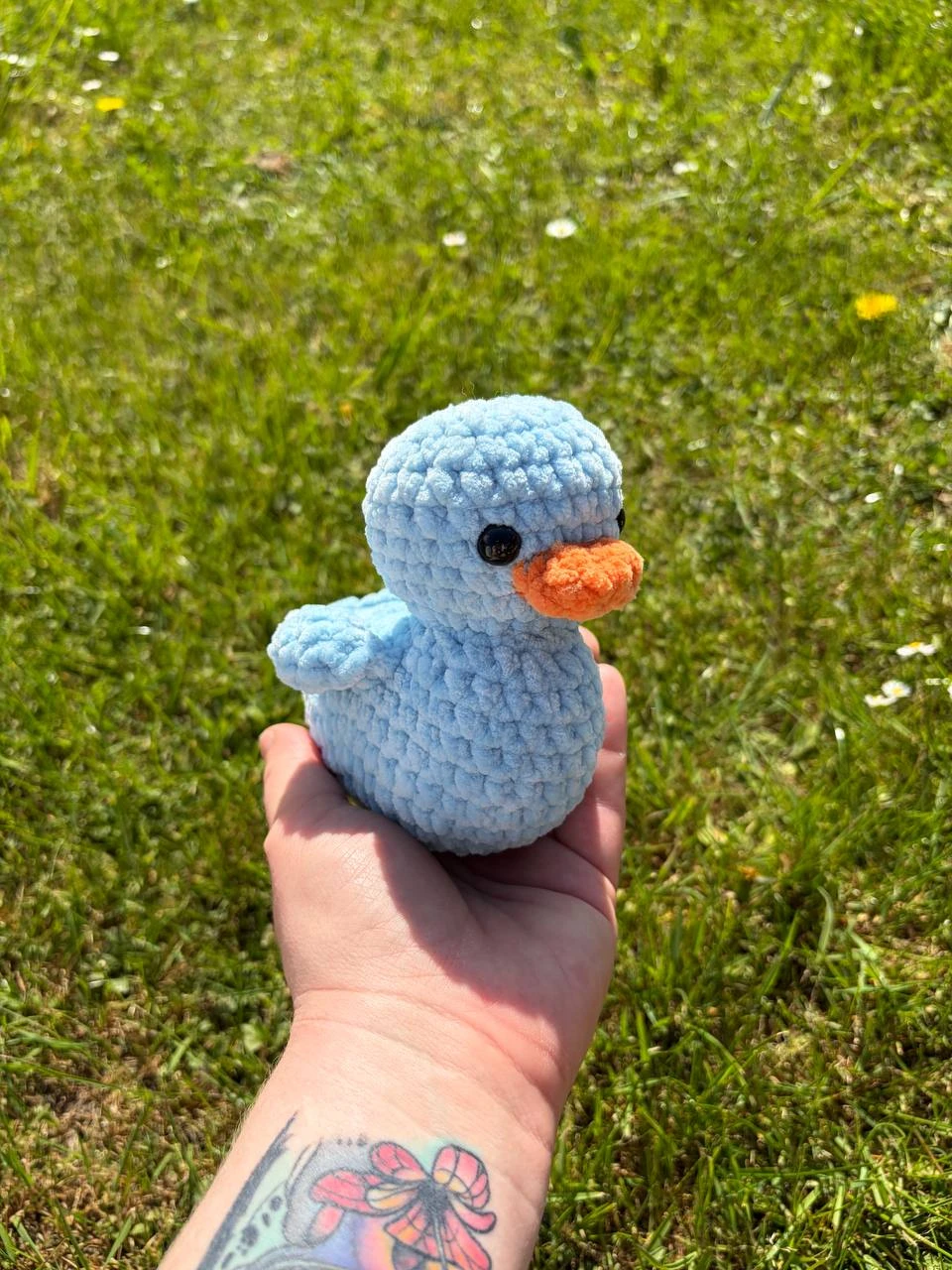 Ente – Bild 4