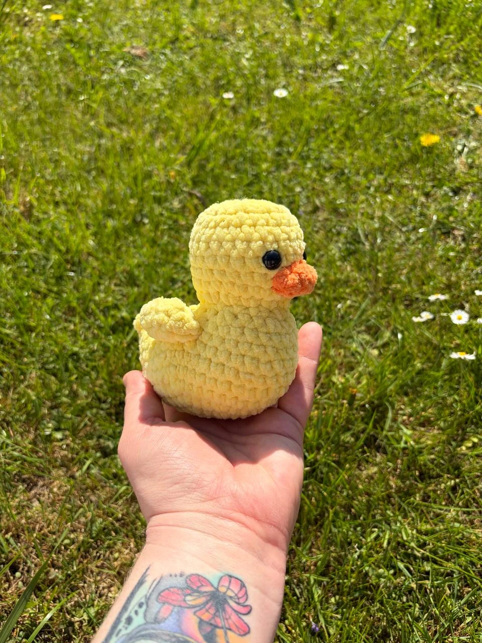Ente – Bild 5